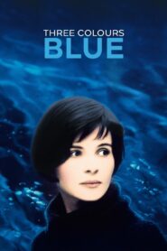 Three Colors: Blue 1993 on netflix