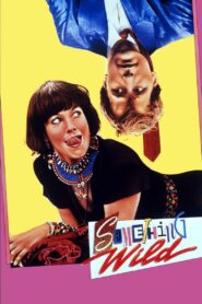 Something Wild 1986 on netflix
