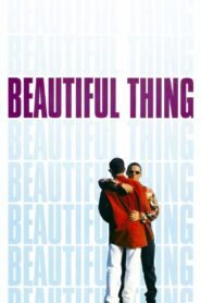Beautiful Thing 1996 on netflix