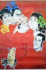 奇缘巧配 1990 on netflix