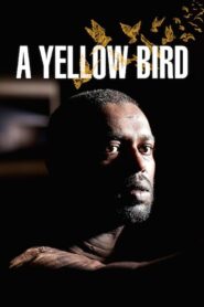 A Yellow Bird 2016 on netflix