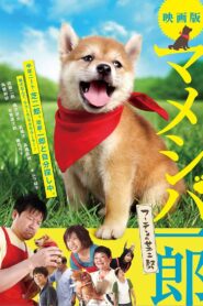 Mameshiba Ichirô fûten no shibajirô 2013 on netflix
