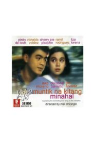 Muntik na Kitang Minahal 1994 on netflix