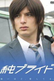 Jun Bride 2006 on netflix