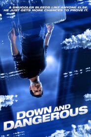 Down and Dangerous 2013 on netflix