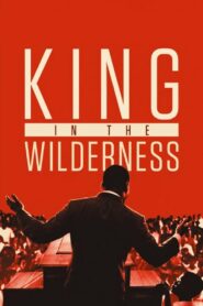 King in the Wilderness 2018 on netflix