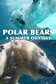 Polar Bears: A Summer Odyssey 2012 on netflix