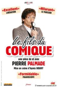 Le fils du comique 2015 on netflix