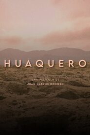 Huaquero 2024 on netflix
