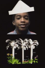 Paper Origami 1995 on netflix