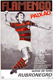 Flamengo Paixão 1980 on netflix
