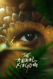 The Animal Kingdom 2023 on netflix