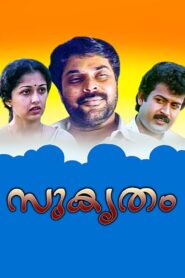 Sukrutham 1994 on netflix