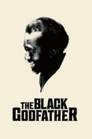 The Black Godfather 2019 on netflix