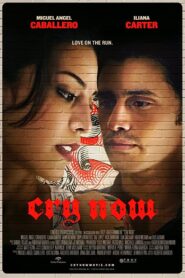 Cry Now 2014 on netflix