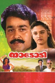 Nadodi 1992 on netflix