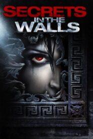 Secrets in the Walls 2010 on netflix