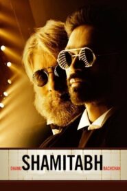 Shamitabh 2015 on netflix