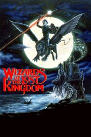 Wizards of the Lost Kingdom 1985 on netflix