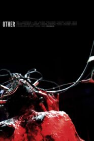 Other 2012 on netflix