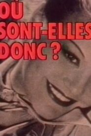 Où sont-elles donc ? 1983 on netflix