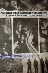 Pink Floyd: Video Anthology Vol. 5 2004 on netflix