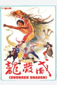Exciting Dragon 1985 on netflix