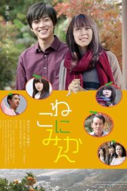 Tangerines on Cat 2014 on netflix