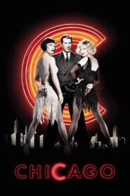Chicago 2002 on netflix