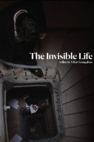 The Invisible Life 2013 on netflix