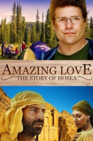 Amazing Love 2012 on netflix