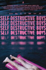 Self Destructive Boys 2018 on netflix