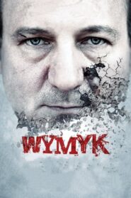Courage 2011 on netflix