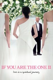 If You Are the One 2 2010 on netflix