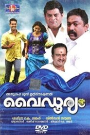Vaidooryam 2012 on netflix