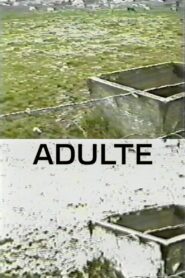 Adulte 1998 on netflix