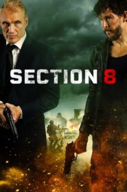 Section 8 2022 on netflix
