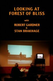 Looking at Forest of Bliss 2000 on netflix