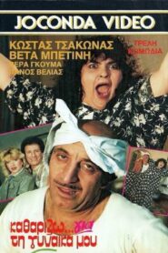 Καθαρίζω για τη γυναίκα μου 1987 on netflix