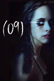 (09) 2014 on netflix