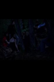 The Destructions 2011 on netflix
