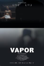 Steam 2010 on netflix