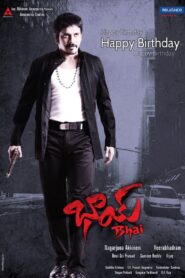Bhai 2013 on netflix