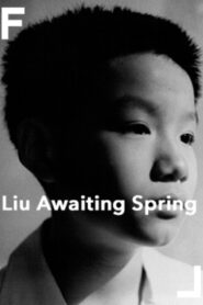 Liu Awaiting Spring 1998 on netflix