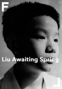 Liu Awaiting Spring 1998 on netflix