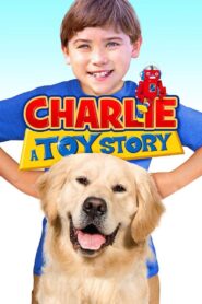 Charlie: A Toy Story 2013 on netflix