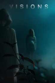 Visions 2015 on netflix