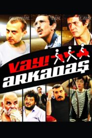Vay Arkadaş 2010 on netflix