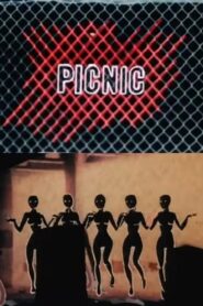 Picnic 1988 on netflix