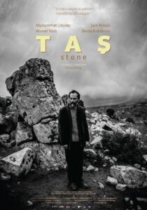 The Stone 2017 on netflix